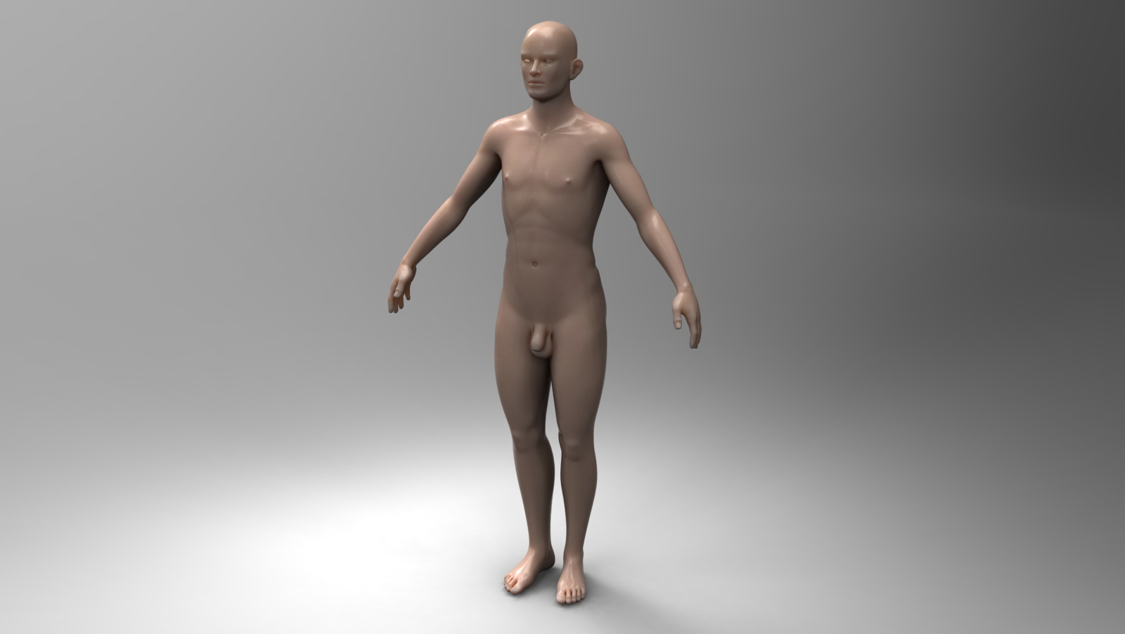 人类的人体模型
