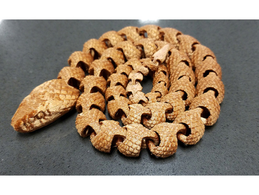 带鳞关节蛇 Articulated Snake with缩略图