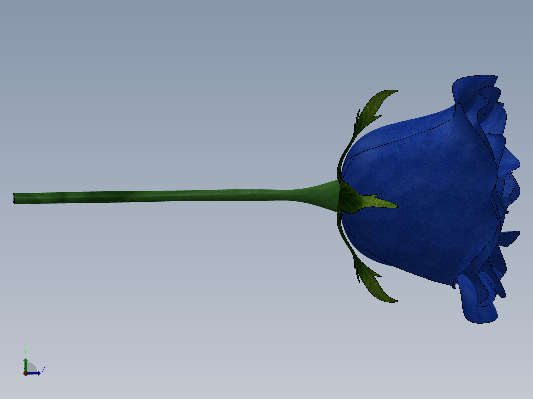 一支蓝玫瑰花