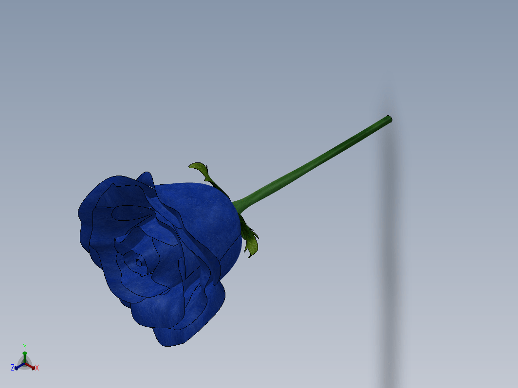 一支蓝玫瑰花