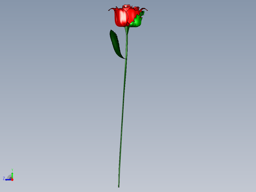 玫瑰花 rose-3