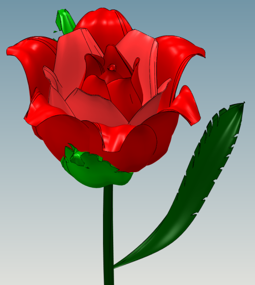 玫瑰花 rose-3缩略图