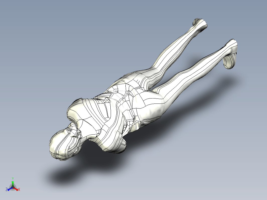 人体模型设计 (19)