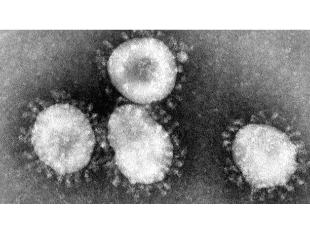 2019-nCoV型冠状病毒模型