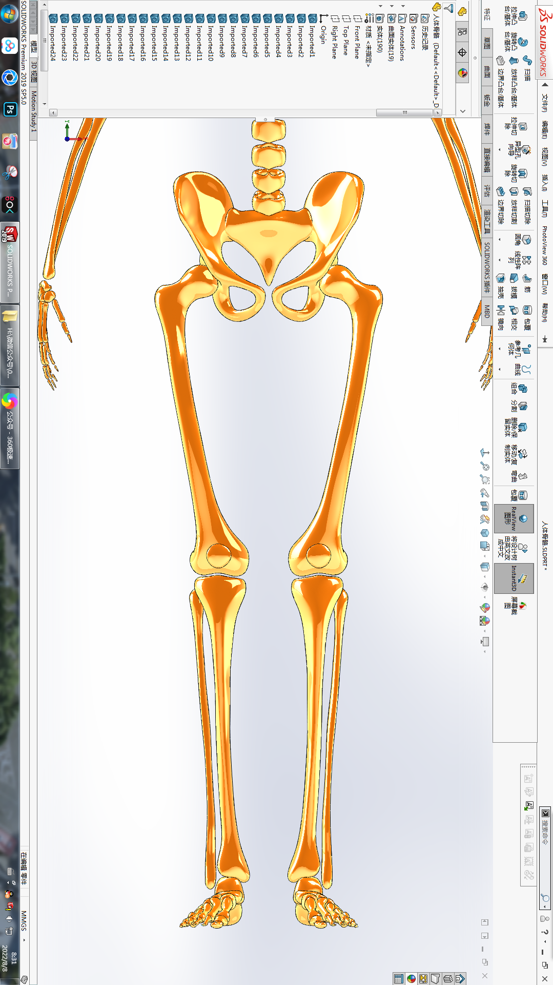 人体骨骼3