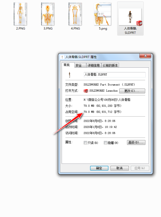 人体骨骼3缩略图
