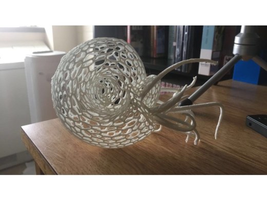 Nautilus鹦鹉螺镂空模型缩略图