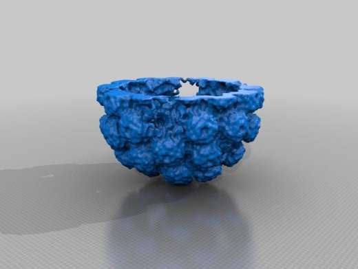 Simian Virus 40猿猴病毒模型缩略图