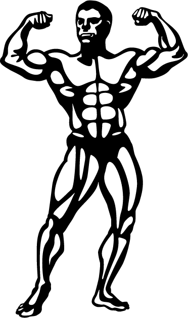 健身器材设备缩略图