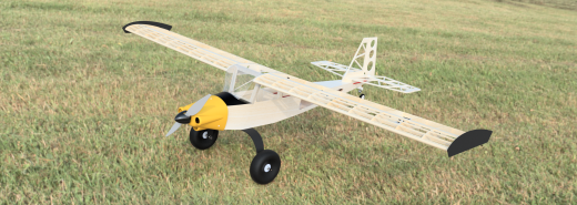 Bird Dog 2.0塞斯纳航模飞机