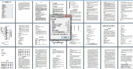 年产2000吨亮氨酸工厂设计CAD+说明书缩略图