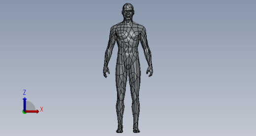 人体3D模型缩略图
