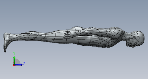 人体3D模型缩略图