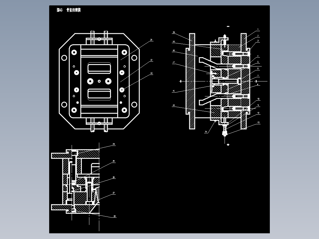 43骨架注塑模