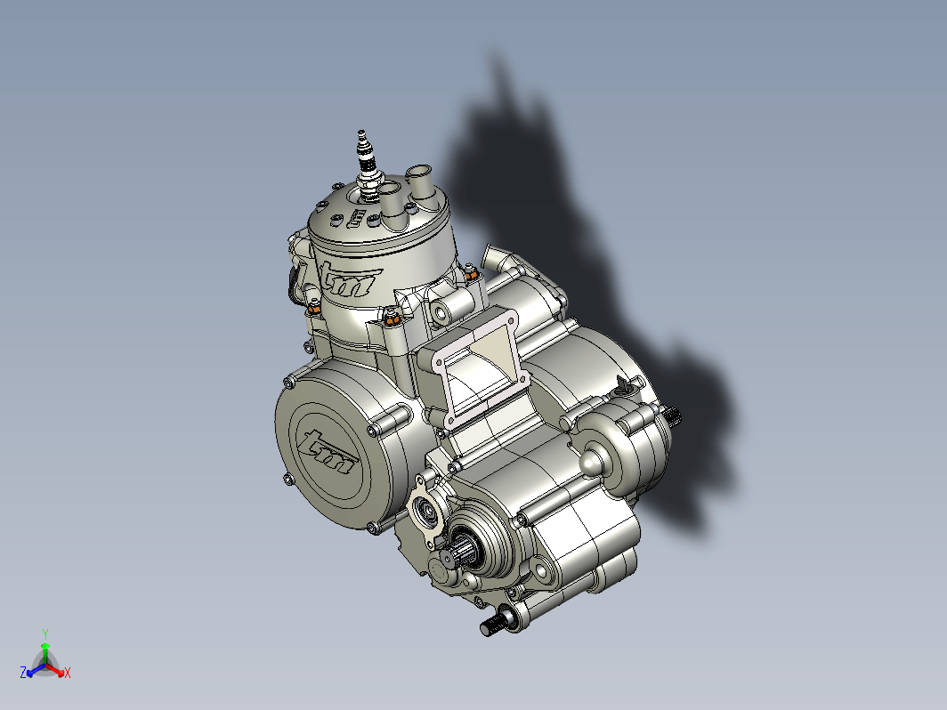 摩托车发动机 TM MX125 2000