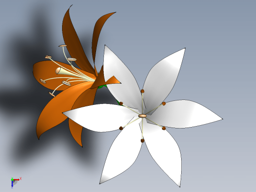 百合花