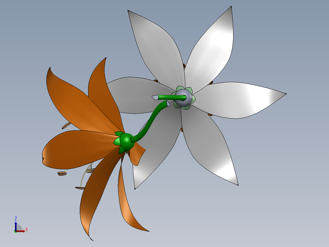 百合花