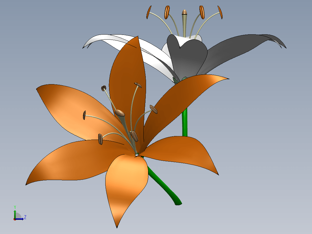 百合花