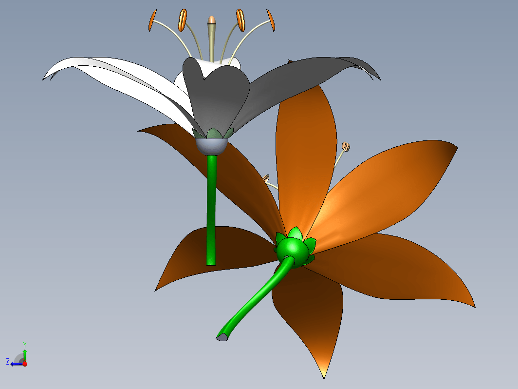 百合花