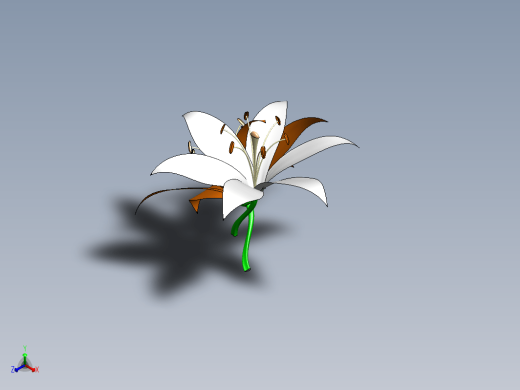 百合花缩略图