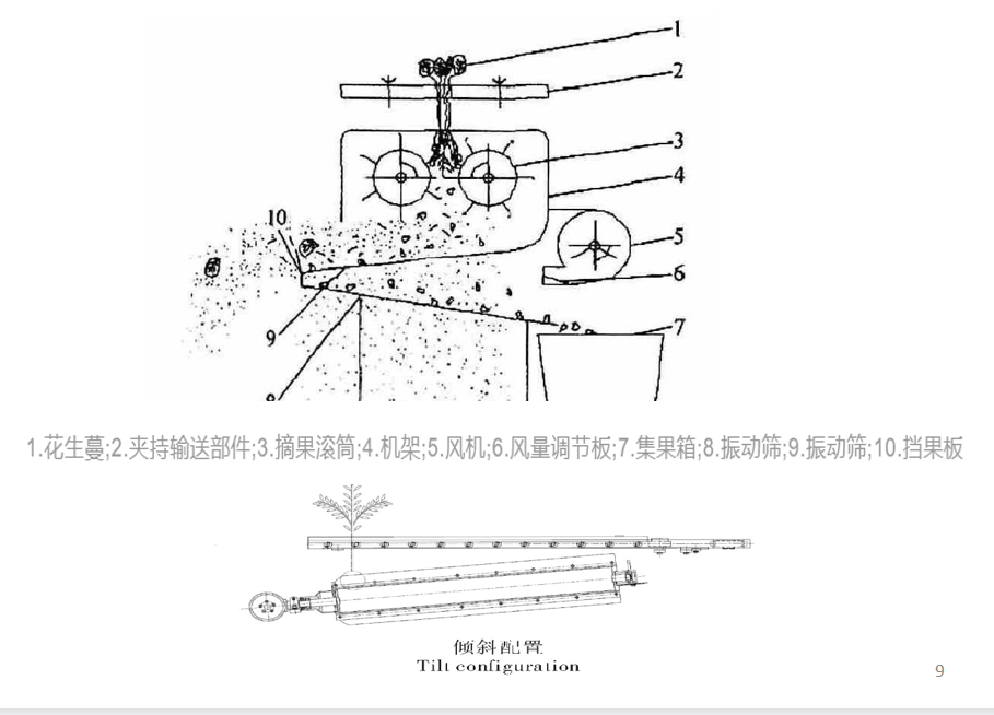 花生采摘运输