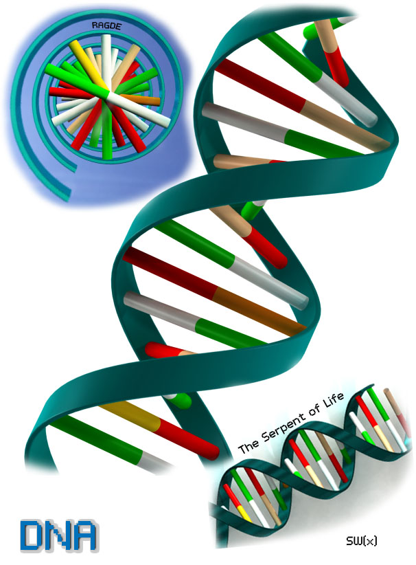 生物双螺旋DNA结构 dna-chain-1