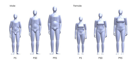 3D人体模型