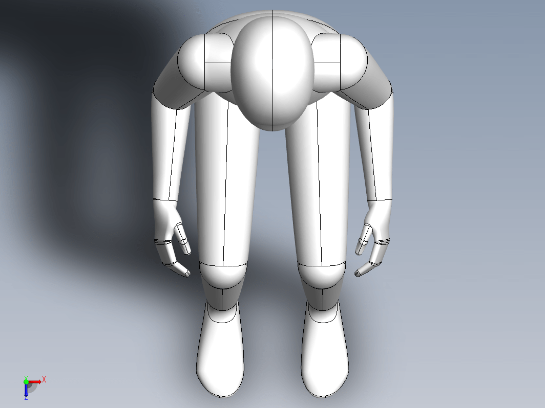 3D人体模型