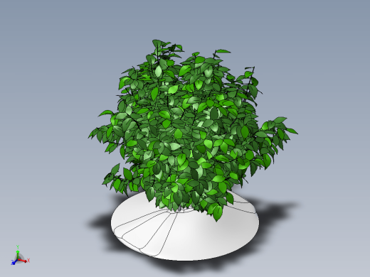 KustOsen植物缩略图
