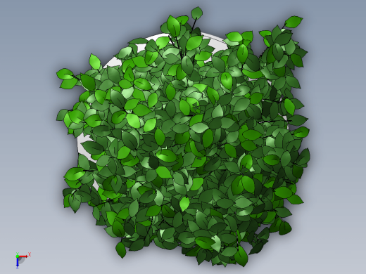 KustOsen植物缩略图