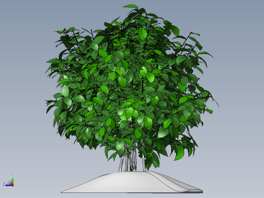 KustOsen植物缩略图