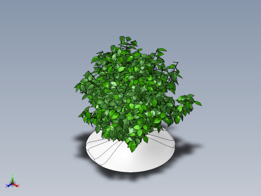KustOsen植物缩略图