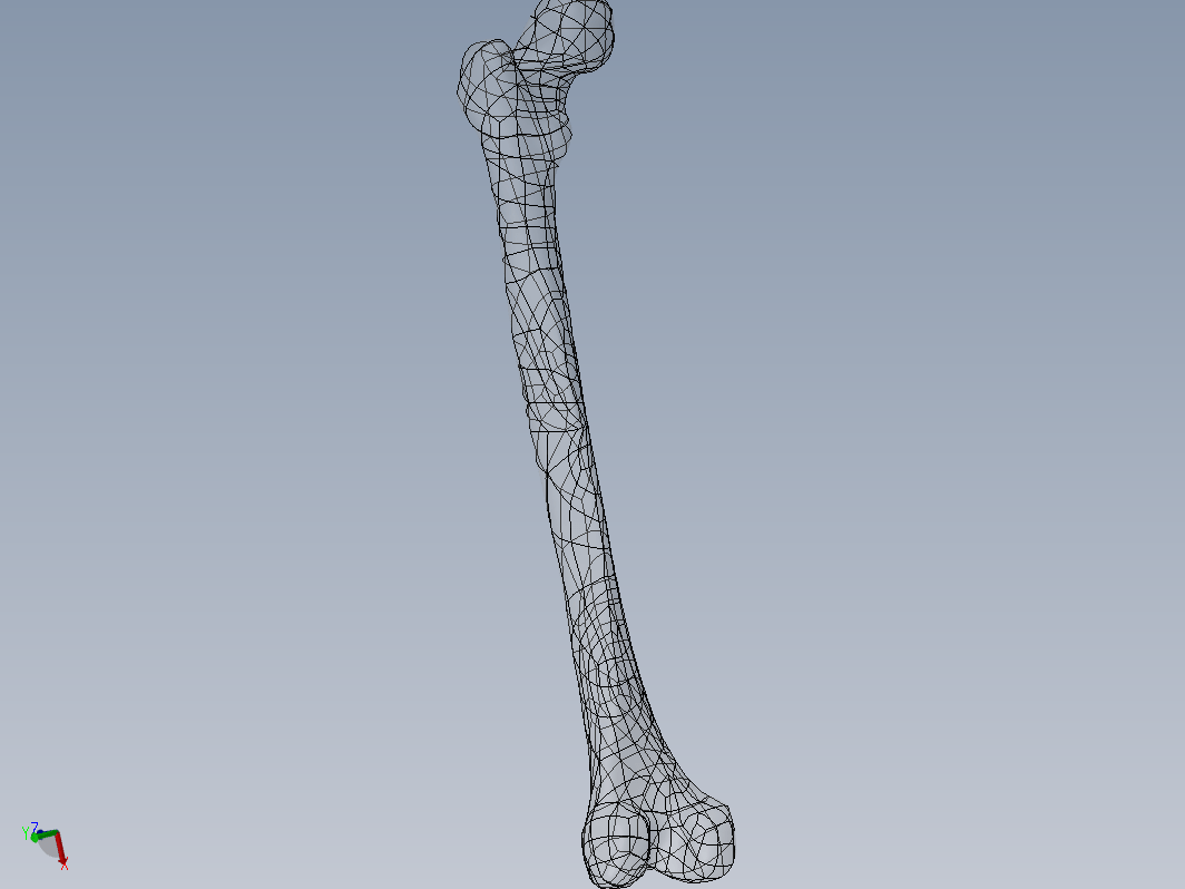 3D 扫描文件的股骨模型