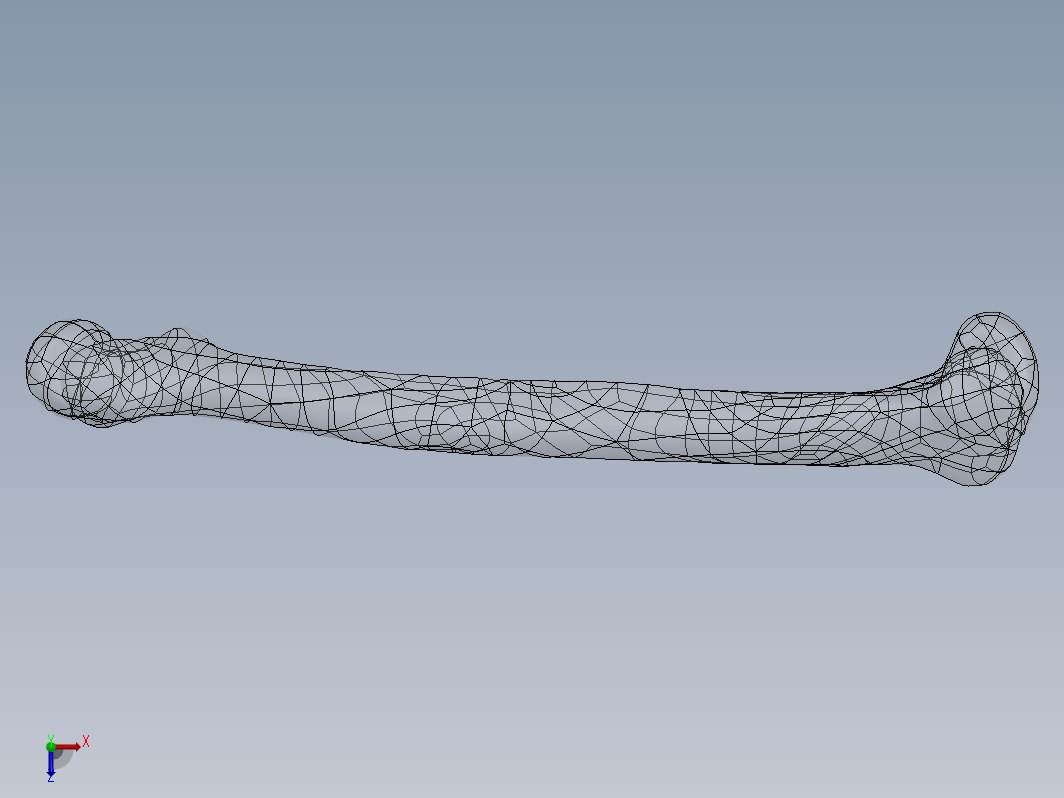 3D 扫描文件的股骨模型