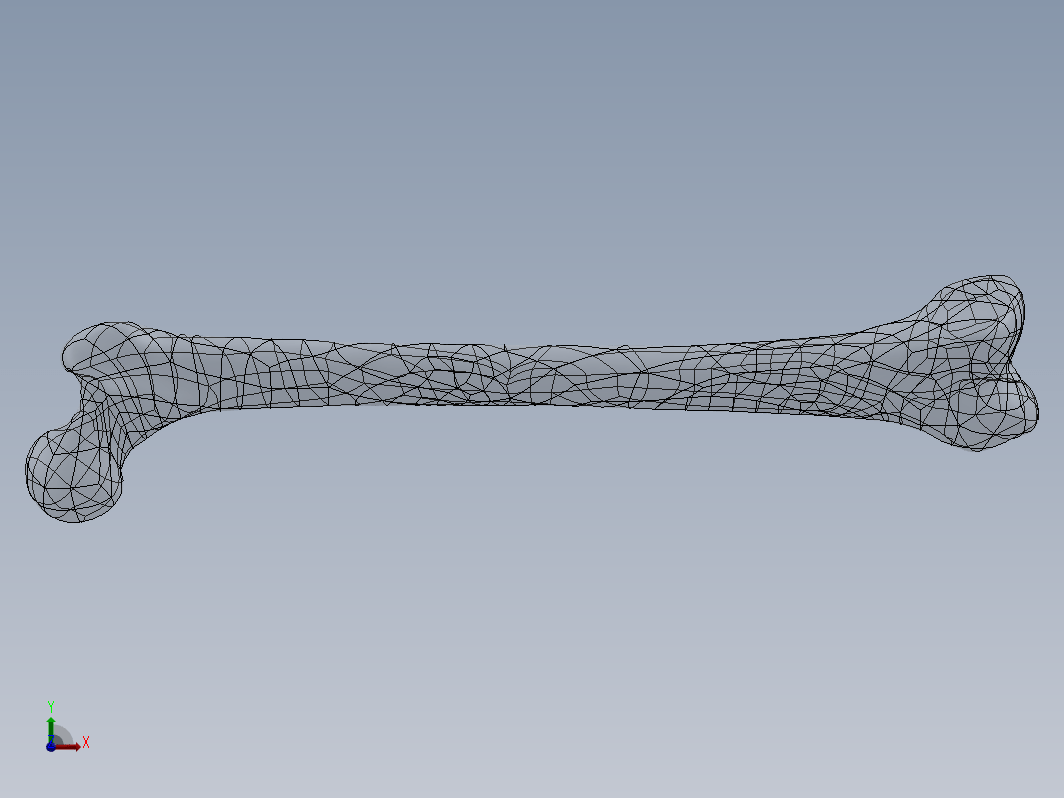 3D 扫描文件的股骨模型