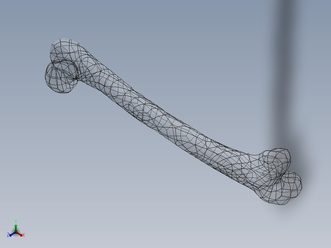 3D 扫描文件的股骨模型