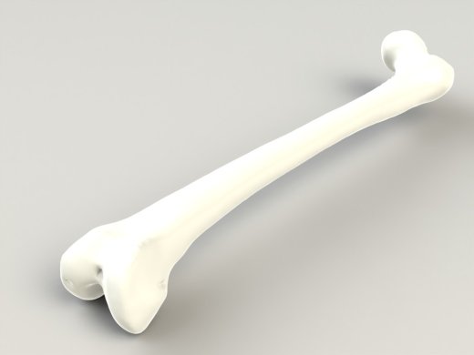 3D 扫描文件的股骨模型缩略图