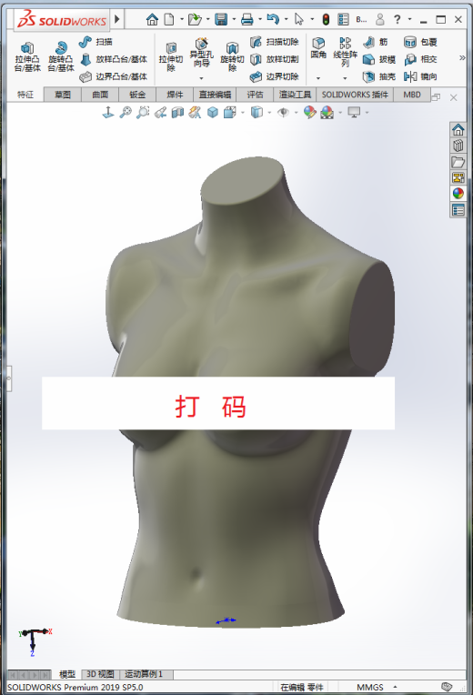 人体上半身模型艺术缩略图