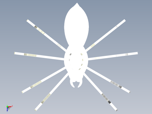 scrollsaw spider蜘蛛玩具拼装模型缩略图