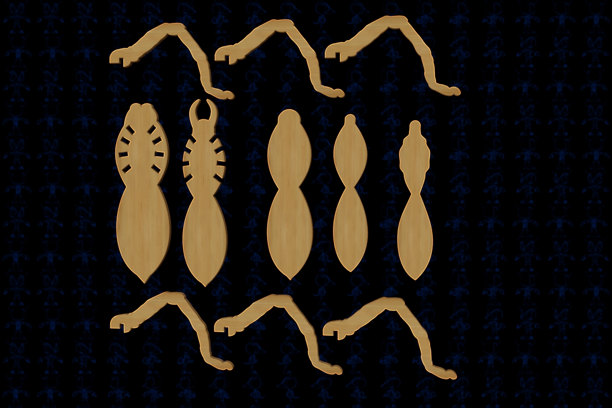 scrollsaw spider蜘蛛玩具拼装模型