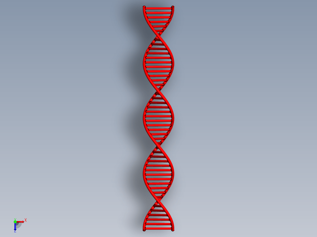 DNA分子三维模型