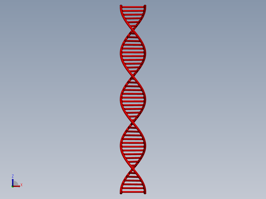 DNA分子三维模型