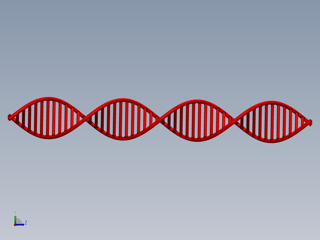 DNA分子三维模型