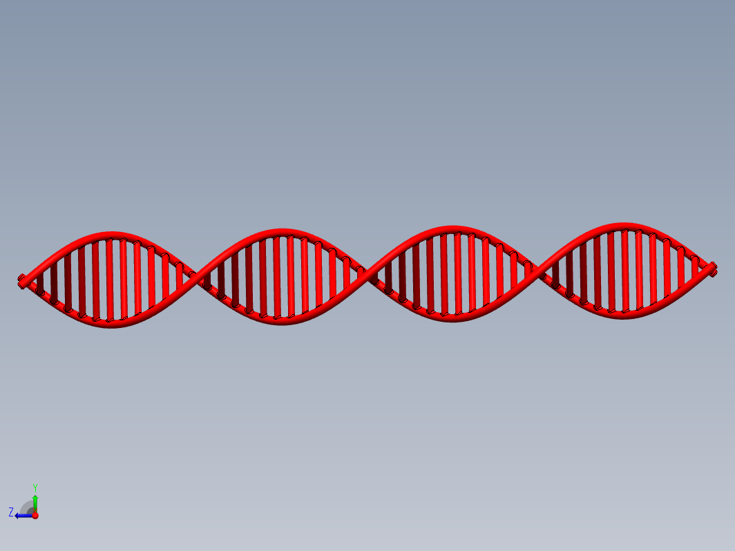 DNA分子三维模型