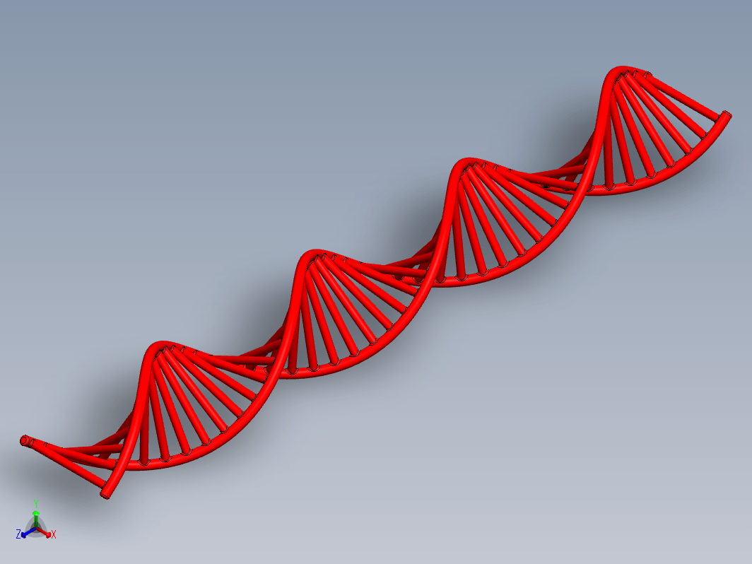 DNA分子三维模型