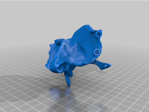 全尺寸解剖人头骨模型缩略图