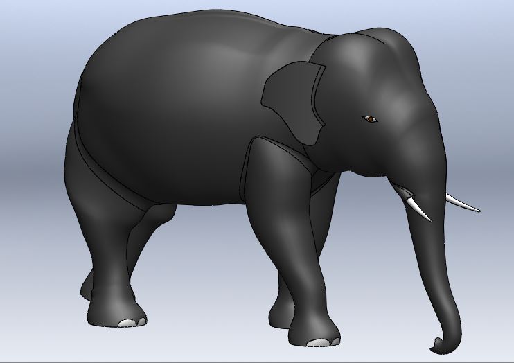 亚洲象大象