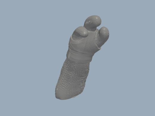 忍者神龟 爱因斯坦 高精度3D打印模型缩略图
