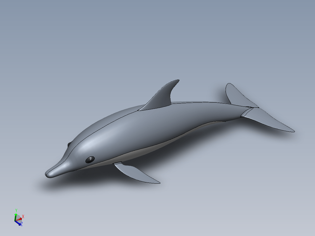 海洋动物 海豚