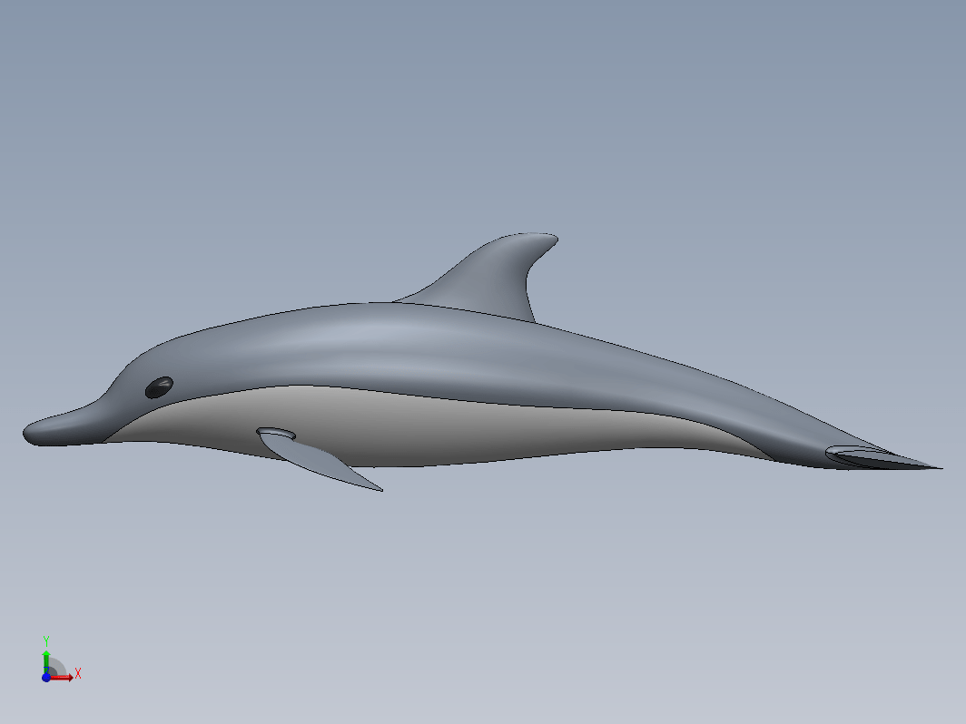 海洋动物 海豚